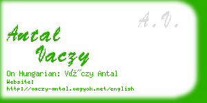 antal vaczy business card